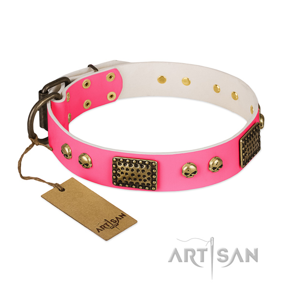Adjustable full grain leather dog collar for walking your dog