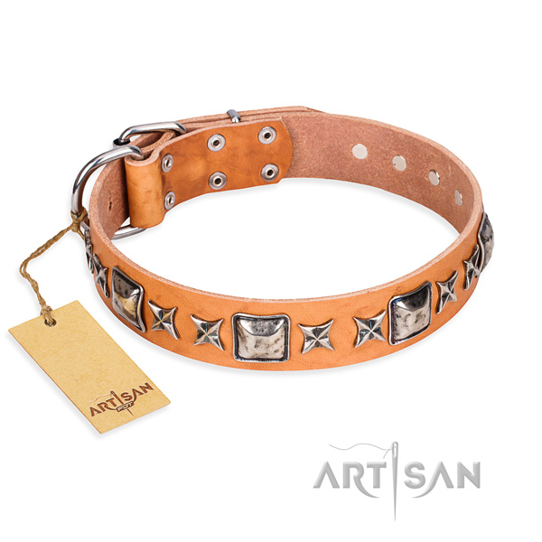 Daily walking dog collar of strong full grain natural leather with embellishments