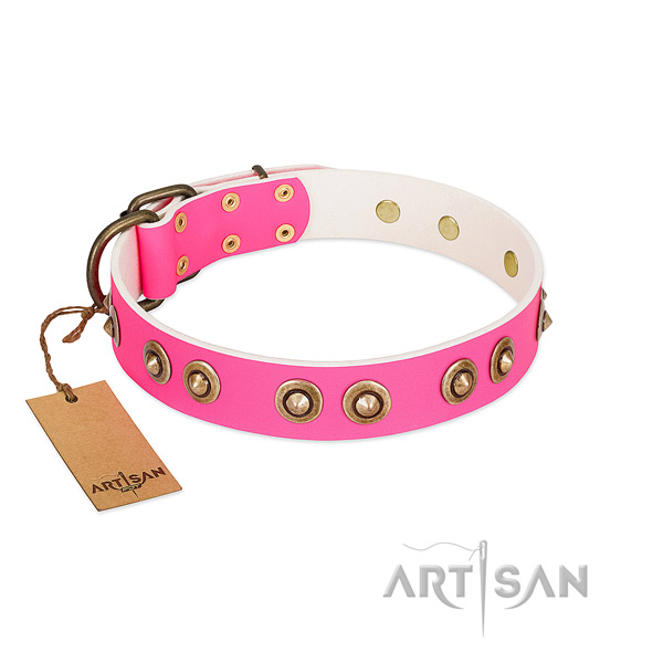 Easy wearing full grain natural leather dog collar for everyday walking
