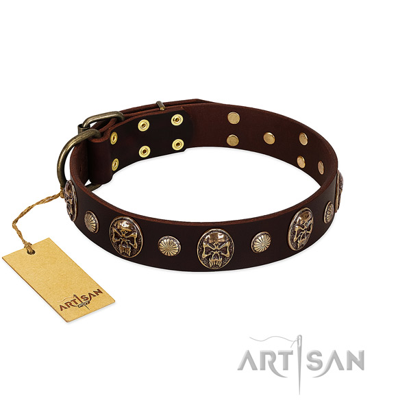Incredible full grain genuine leather dog collar for walking