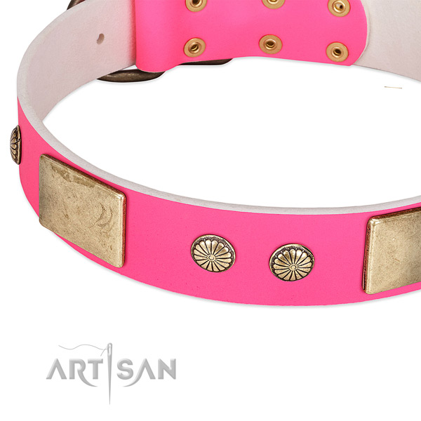 Rust resispinkt decorations on full grain natural leather dog collar for your canine