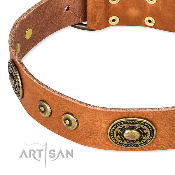 Natural genuine leather dog collar made of reliable material with decorations
