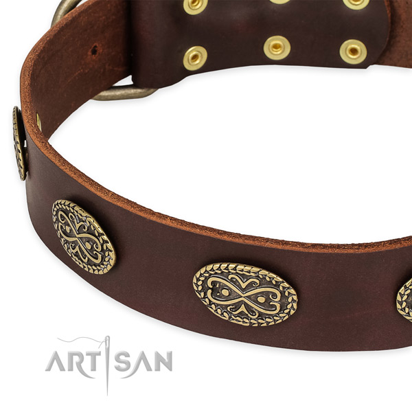 Unusual leather collar for your stylish canine