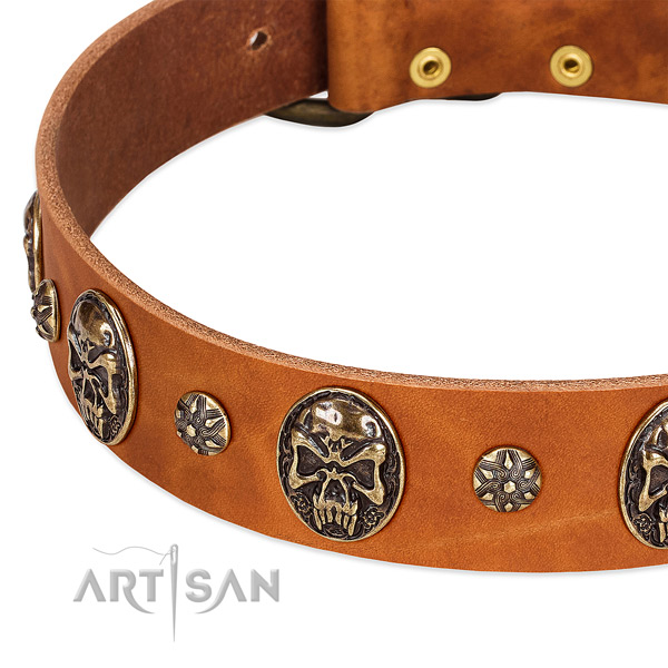 Corrosion resistant traditional buckle on full grain leather dog collar for your doggie