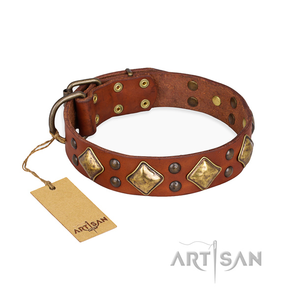Walking extraordinary dog collar with strong traditional buckle