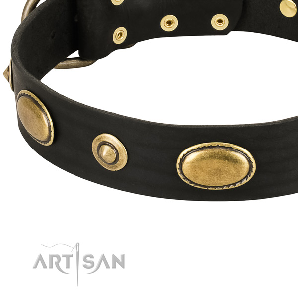 Reliable adornments on full grain leather dog collar for your dog