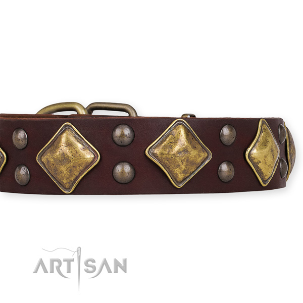 Genuine leather dog collar with top notch reliable embellishments