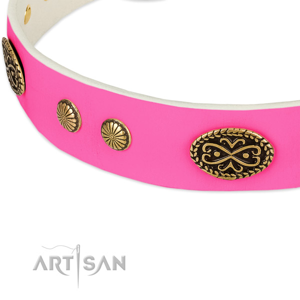 Rust resistant decorations on natural leather dog collar for your canine