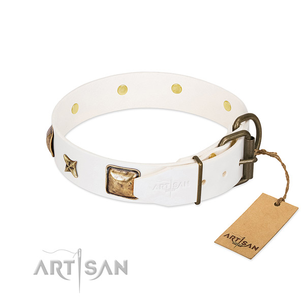 Full grain leather dog collar with reliable hardware and studs