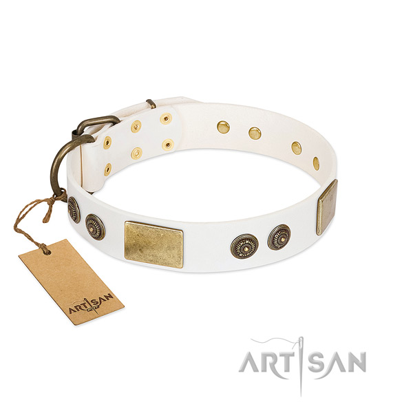 Awesome full grain genuine leather dog collar for stylish walking