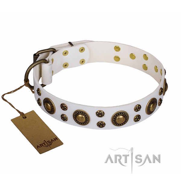 Stylish walking dog collar of best quality full grain genuine leather with adornments