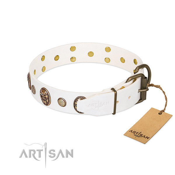 Rust-proof D-ring on full grain natural leather collar for basic training your pet