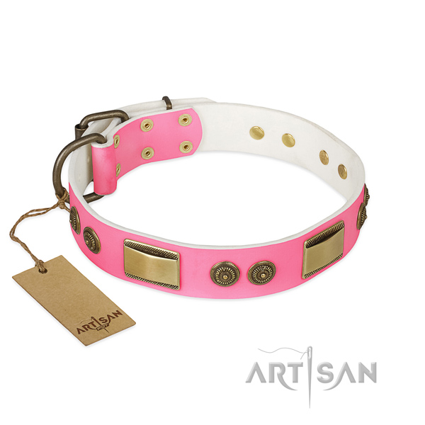 Incredible full grain genuine leather dog collar for walking