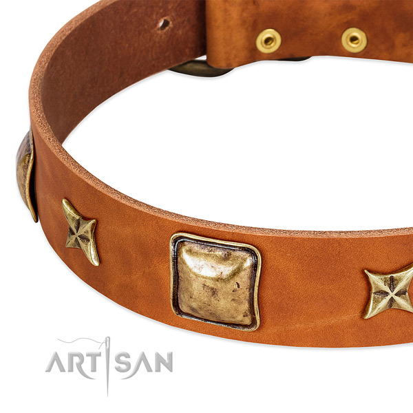 Corrosion resistant D-ring on full grain natural leather dog collar for your dog