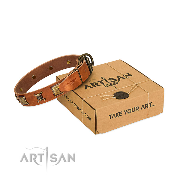 Significant full grain leather dog collar with strong decorations