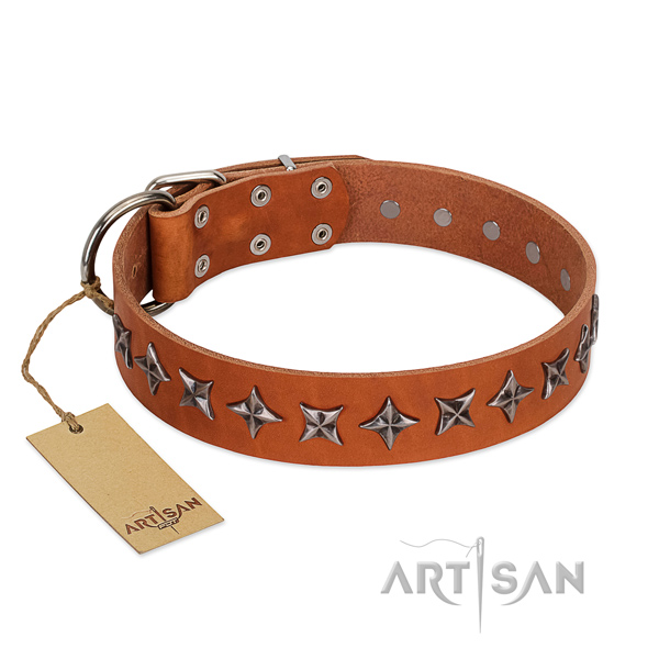 Daily use dog collar of reliable genuine leather with decorations