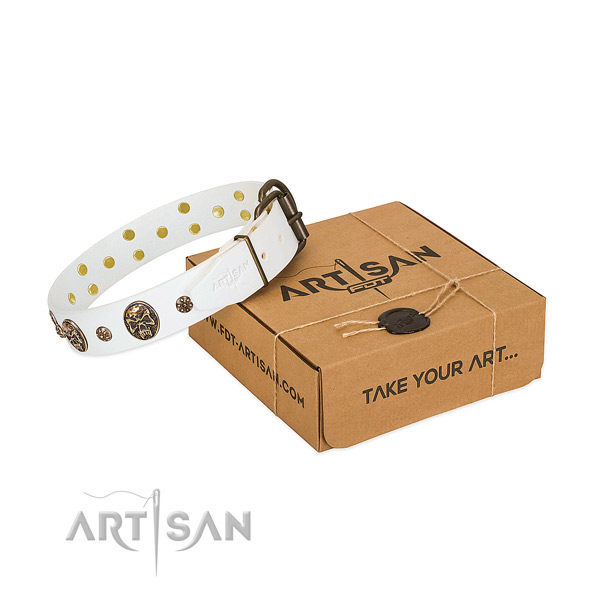Unusual leather collar for your impressive doggie