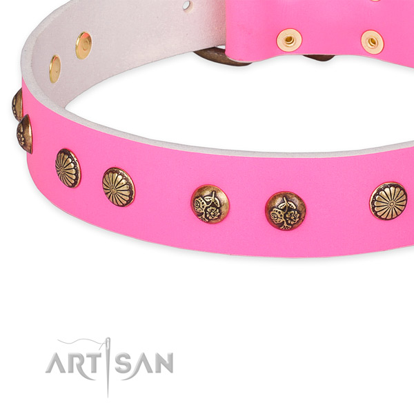 Full grain leather collar with reliable fittings for your attractive doggie
