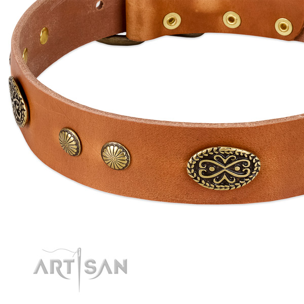 Rust-proof buckle on leather dog collar for your dog