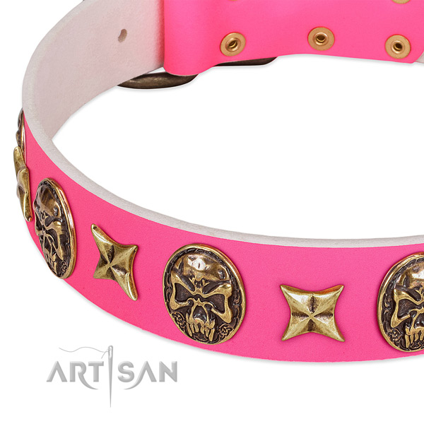 Leather dog collar with incredible adornments