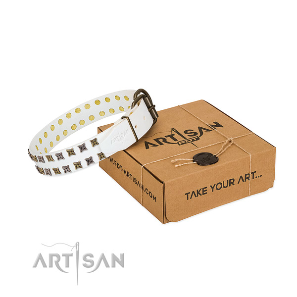 Genuine leather collar with exquisite embellishments for your four-legged friend