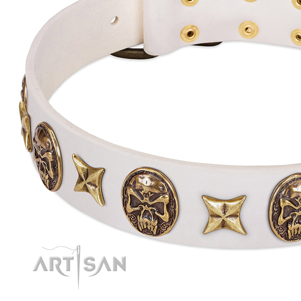 Full grain genuine leather dog collar with reliable buckle