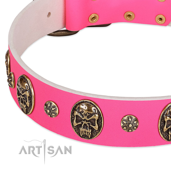 Top notch dog collar handmade for your attractive doggie