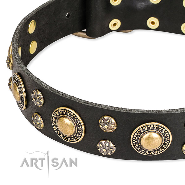 Basic training adorned dog collar of quality natural leather