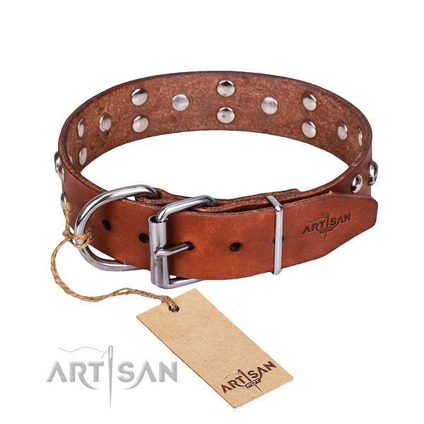 Everyday walking dog collar of best quality full grain leather with adornments