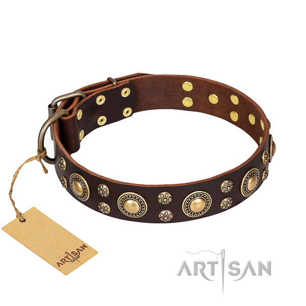 Comfortable wearing dog collar of reliable full grain leather with adornments