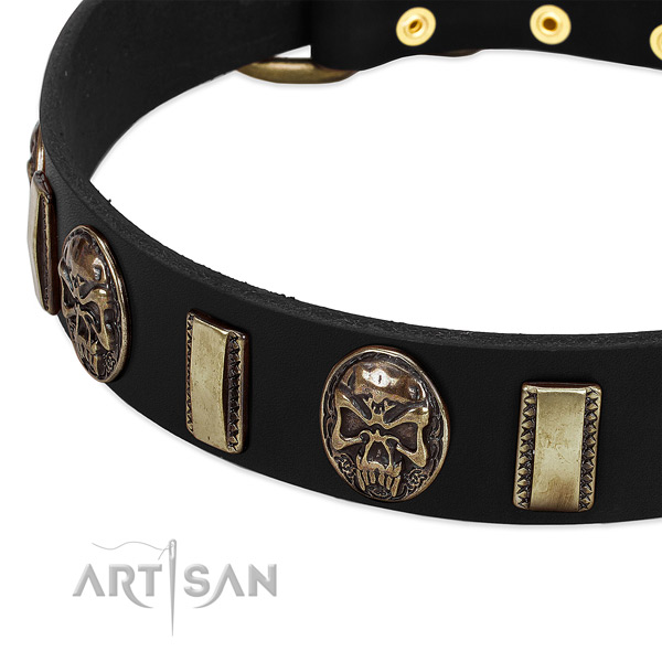 Reliable adornments on natural genuine leather dog collar for your canine