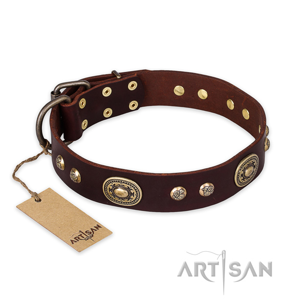 Stylish natural leather dog collar for everyday walking
