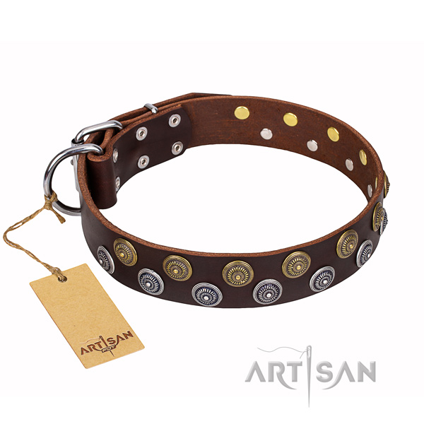 Handy use dog collar of best quality natural leather with studs