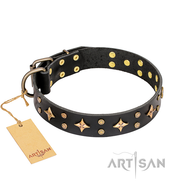 Basic training dog collar of finest quality full grain natural leather with studs