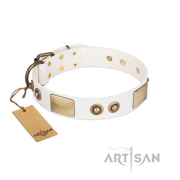 Corrosion proof adornments on genuine leather dog collar for your doggie