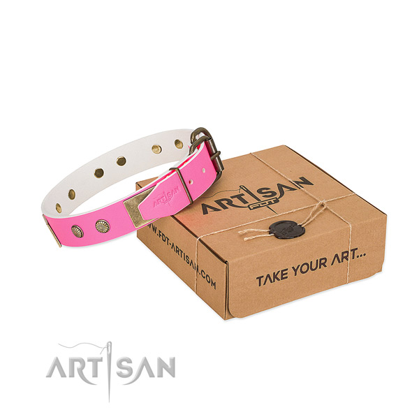 Corrosion proof fittings on dog collar for daily use