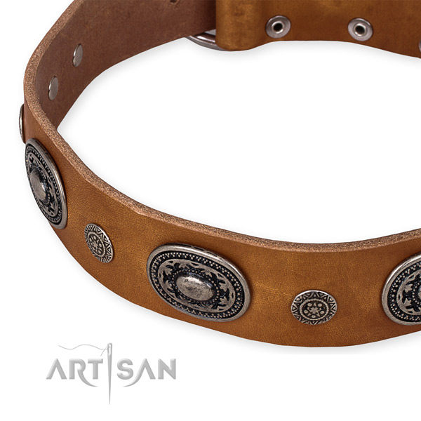 Reliable full grain leather dog collar created for your stylish doggie