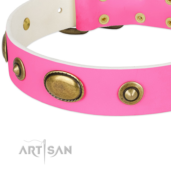Reliable embellishments on full grain natural leather dog collar for your four-legged friend