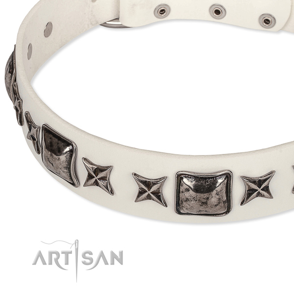 Comfortable wearing studded dog collar of strong full grain leather