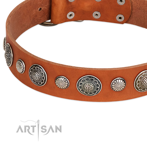 Natural leather collar with corrosion proof hardware for your handsome canine