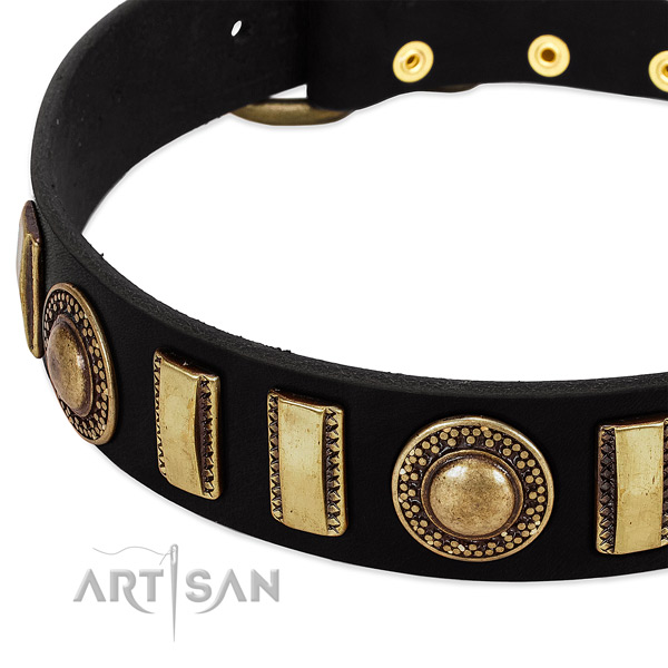 Quality full grain natural leather dog collar with strong fittings
