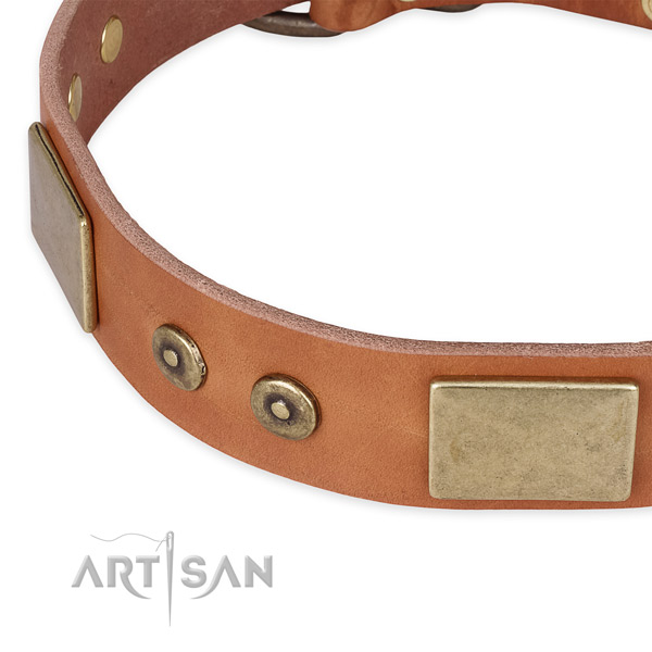 Rust-proof fittings on genuine leather dog collar for your pet