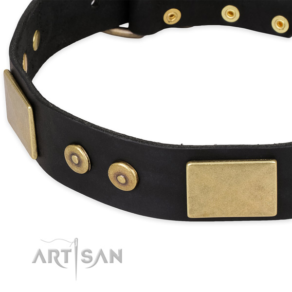 Corrosion proof embellishments on full grain natural leather dog collar for your dog