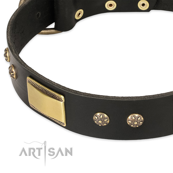 Corrosion proof buckle on full grain leather dog collar for your four-legged friend