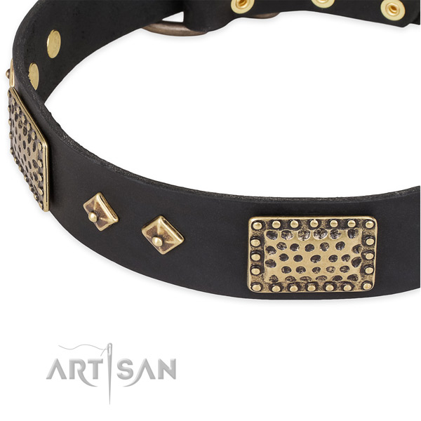 Corrosion proof D-ring on leather dog collar for your four-legged friend