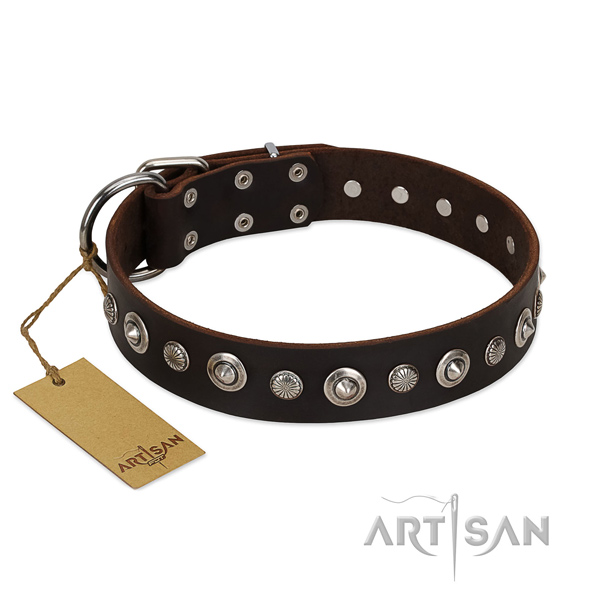 Top notch natural leather dog collar with exquisite decorations