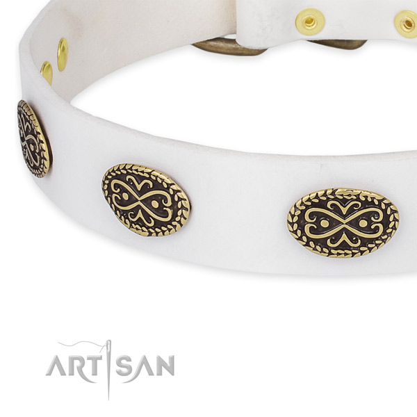 Convenient leather collar for your stylish canine