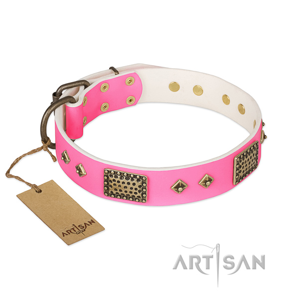 Adjustable full grain genuine leather dog collar for everyday walking your pet