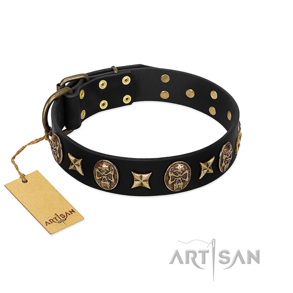 Trendy full grain leather collar for your four-legged friend