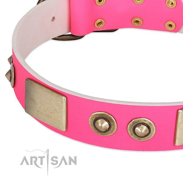 Durable traditional buckle on full grain leather dog collar for your pet